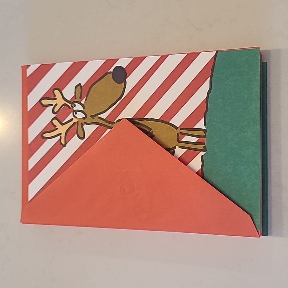 New!! 10 Reindeer Fart Holiday Cards